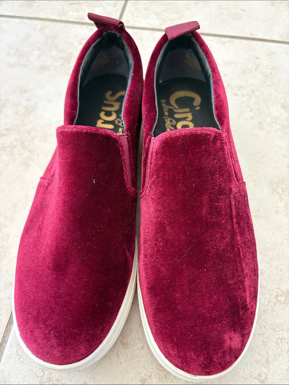 Circus by Sam Edelman Velvet Slip-On Sneakers in Wine